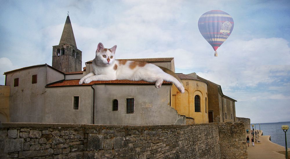 Photograph by Ольга Еремеева