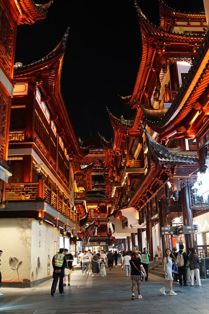 Фотография автора Liudmila Kiermeier