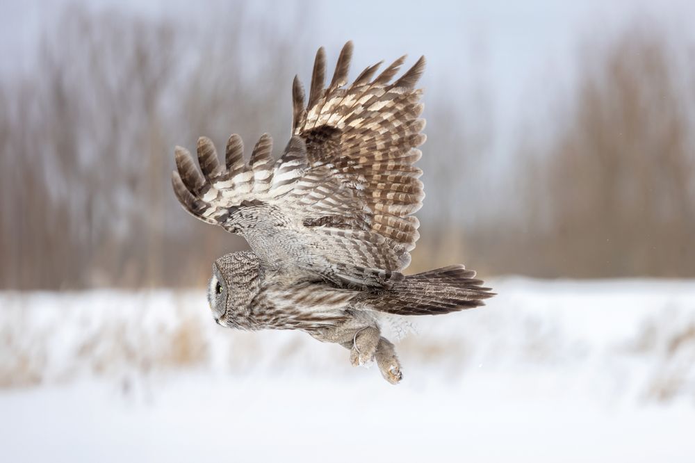 Photograph by Татьяна Тихомирова