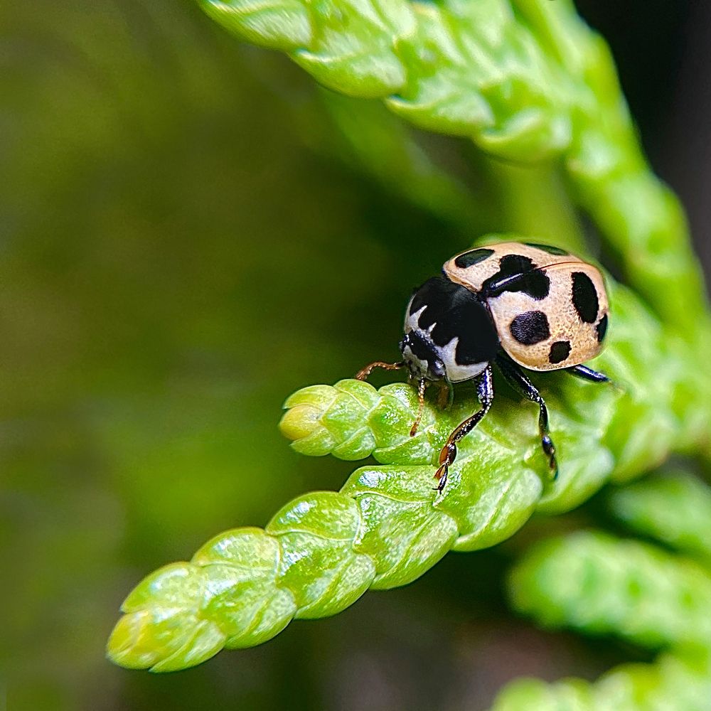 Photograph by Любовь Козлова