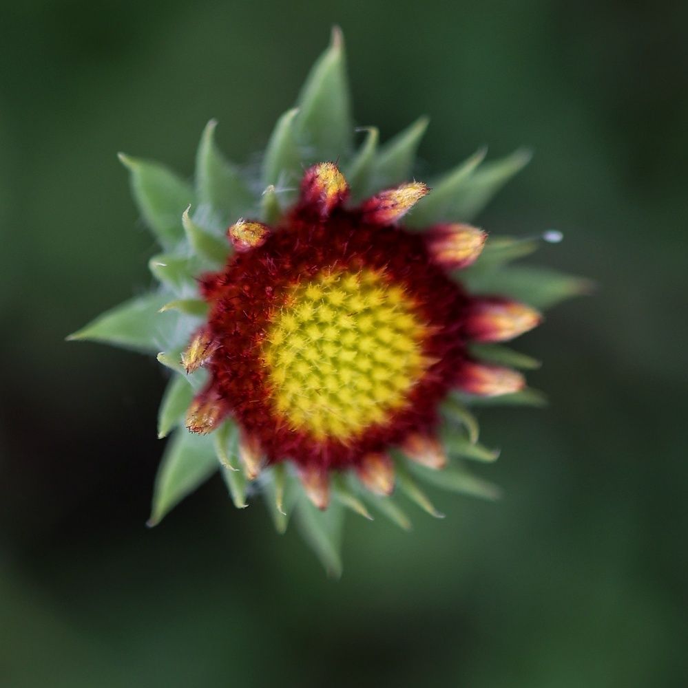 Photograph by Наталья Сафронова