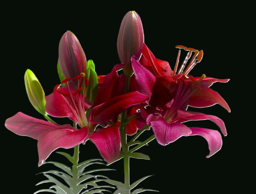 Photograph by Игорь Куленко