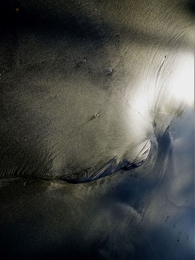 Фотография автора DENISE Monteiro de Lima Demange