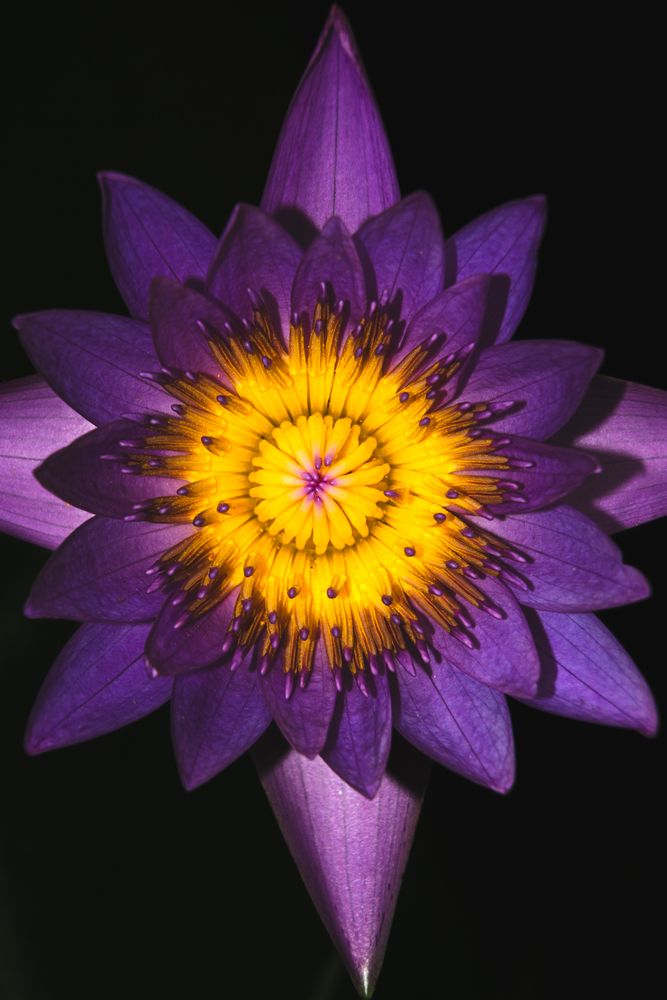 Photograph by Jaime Molina