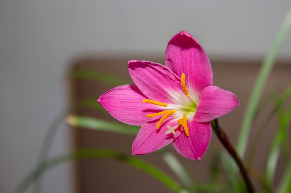 Photograph by Сергей Махницкий