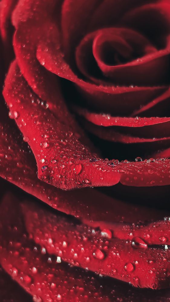 Photograph by Татьяна