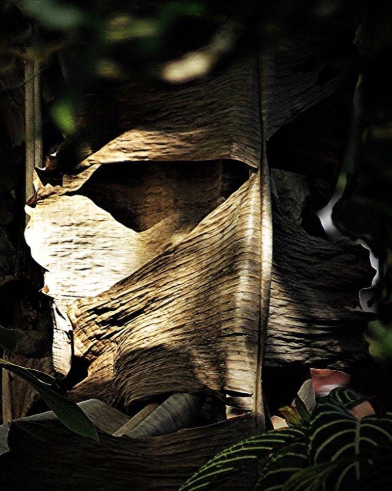 Фотография автора DENISE Monteiro de Lima Demange