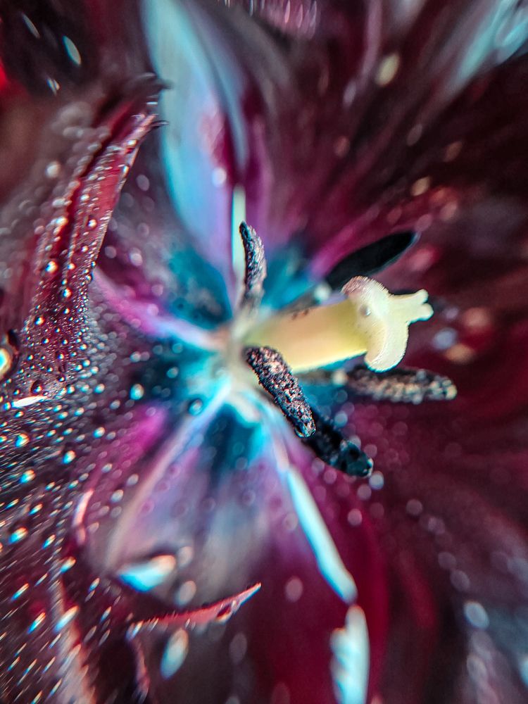 Фотография автора Любовь