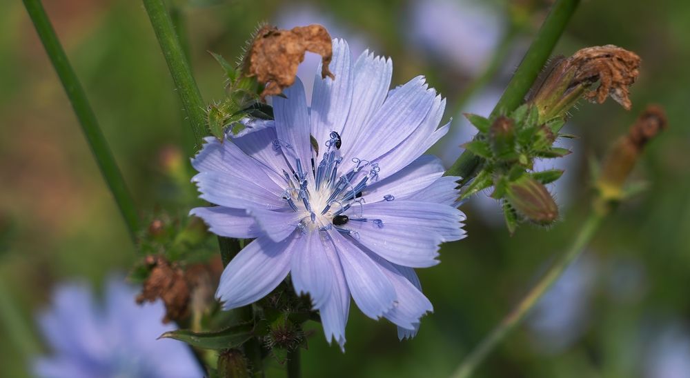 Photograph by Дима Скрипачев
