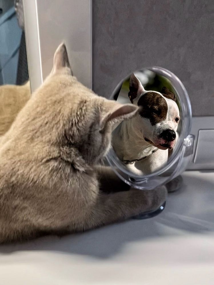 Photograph by Zhanna Kolesnikova