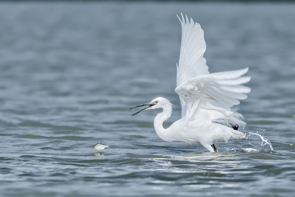 Photograph by Mohidul Islam