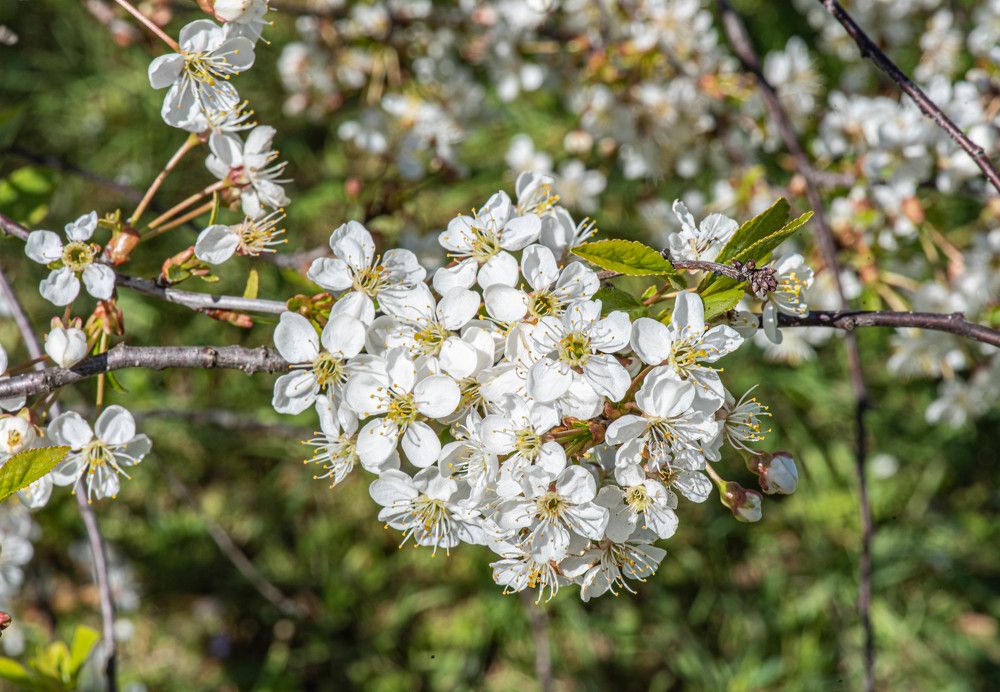 Photograph by Кристина