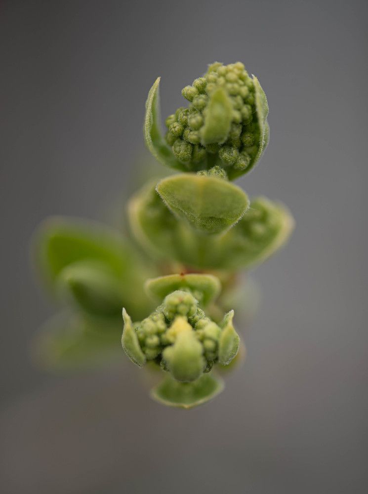 Photograph by Кристина