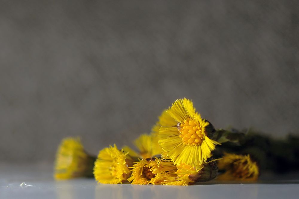 Photograph by Заболотская Ольга