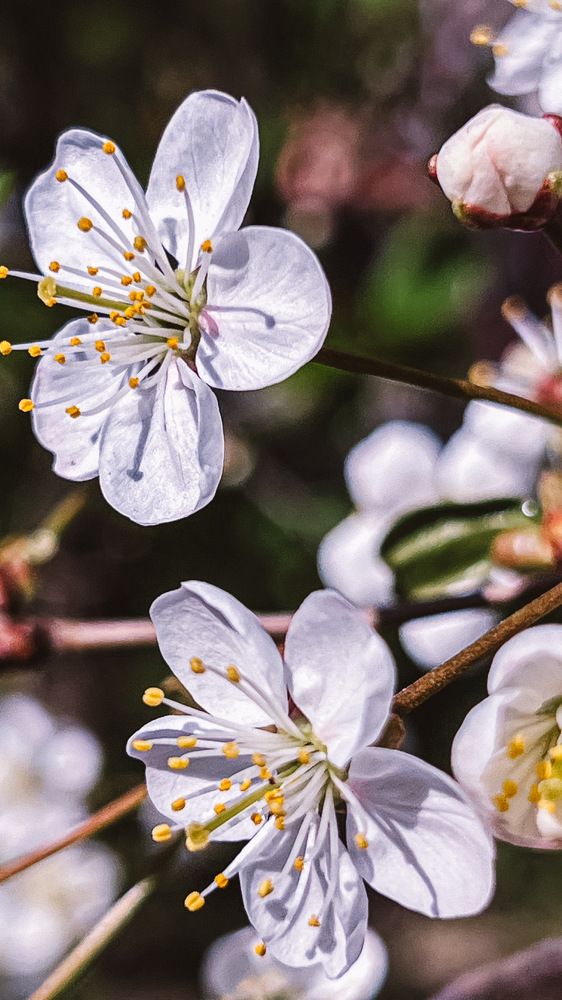 Photograph by Дарья Эглите