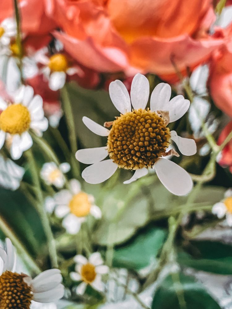 Photograph by Дарья Эглите