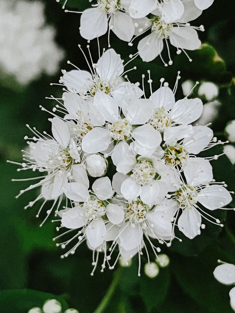 Photograph by Дарья Эглите