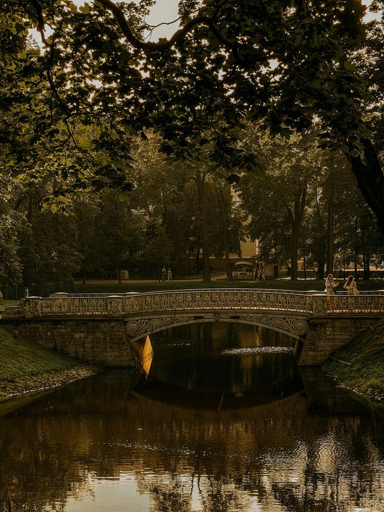 Photograph by Дарья Эглите