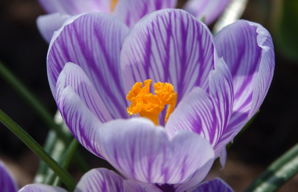 Photograph by Андрей Щербинин