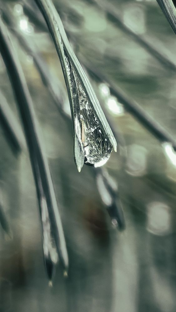 Photograph by Татьяна