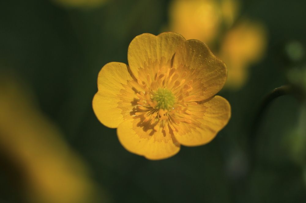 Photograph by Anton Hantov