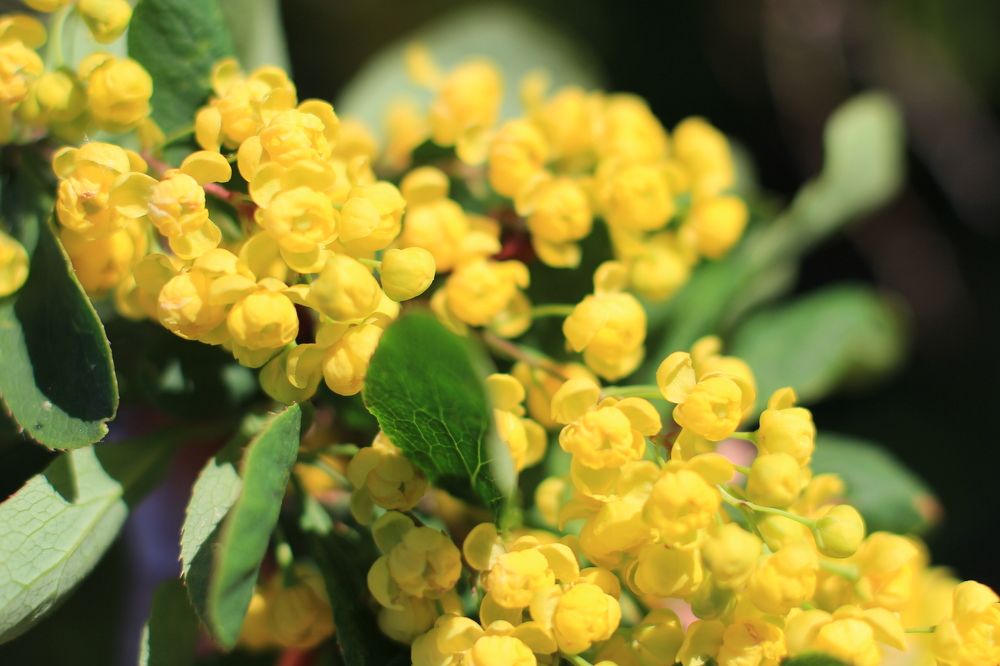 Photograph by Anton Hantov