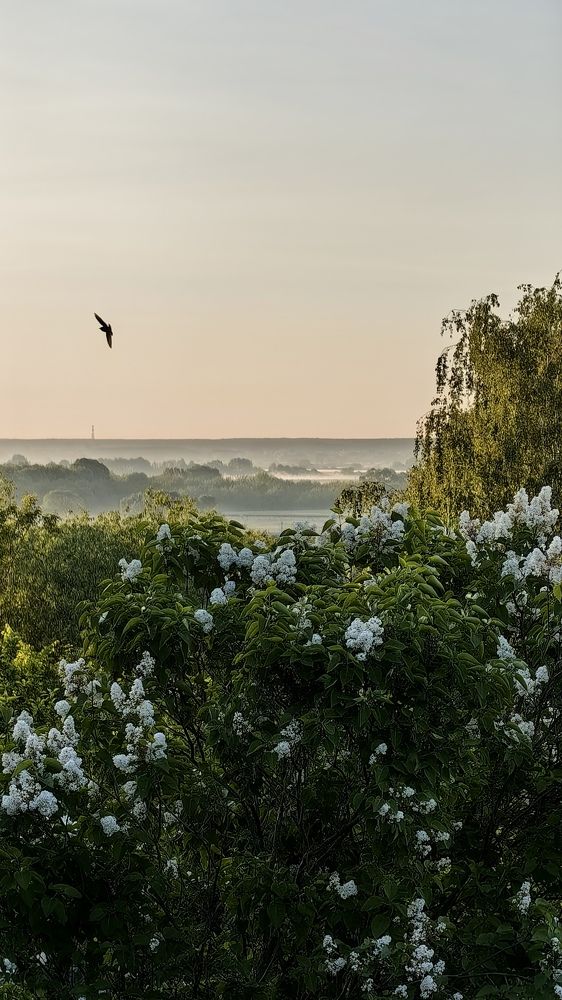 Photograph by Татьяна