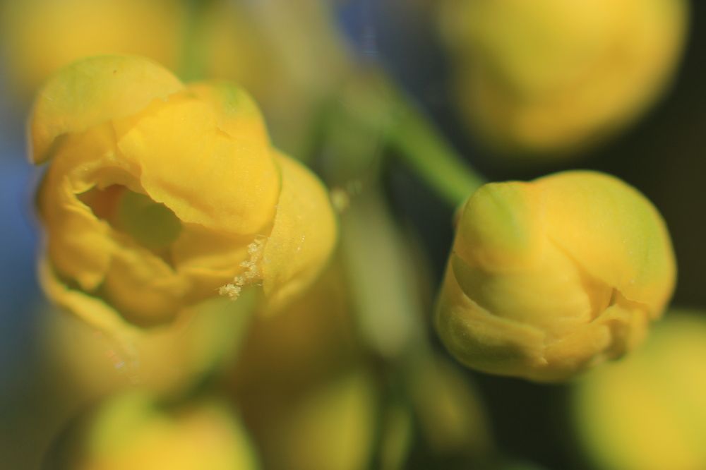 Photograph by Anton Hantov