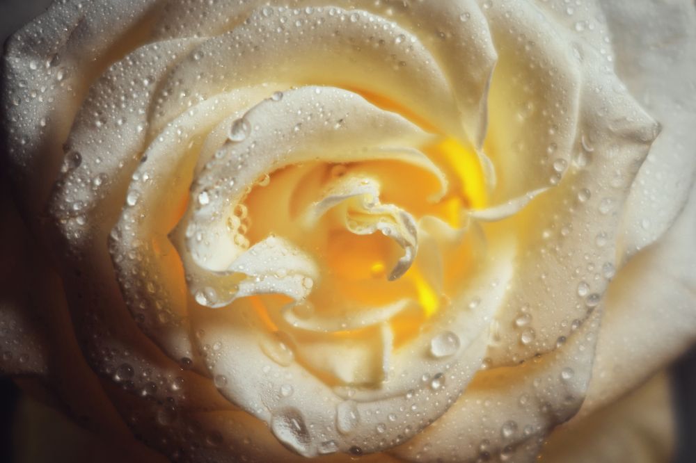 Photograph by Валерий Зенович