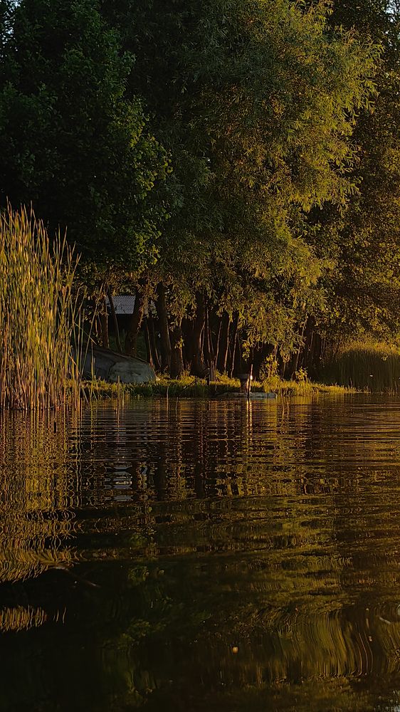 Photograph by Татьяна