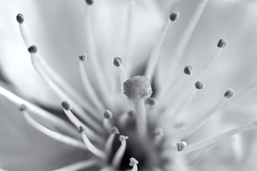 Photograph by Bogdan Tarasov