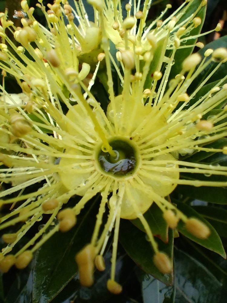 God The Great Creation