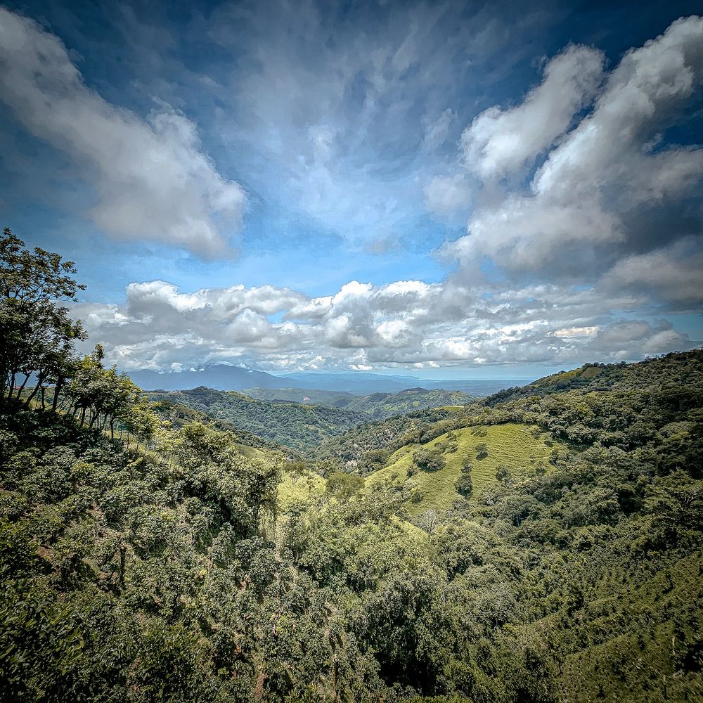 Photograph by Randall Sánchez