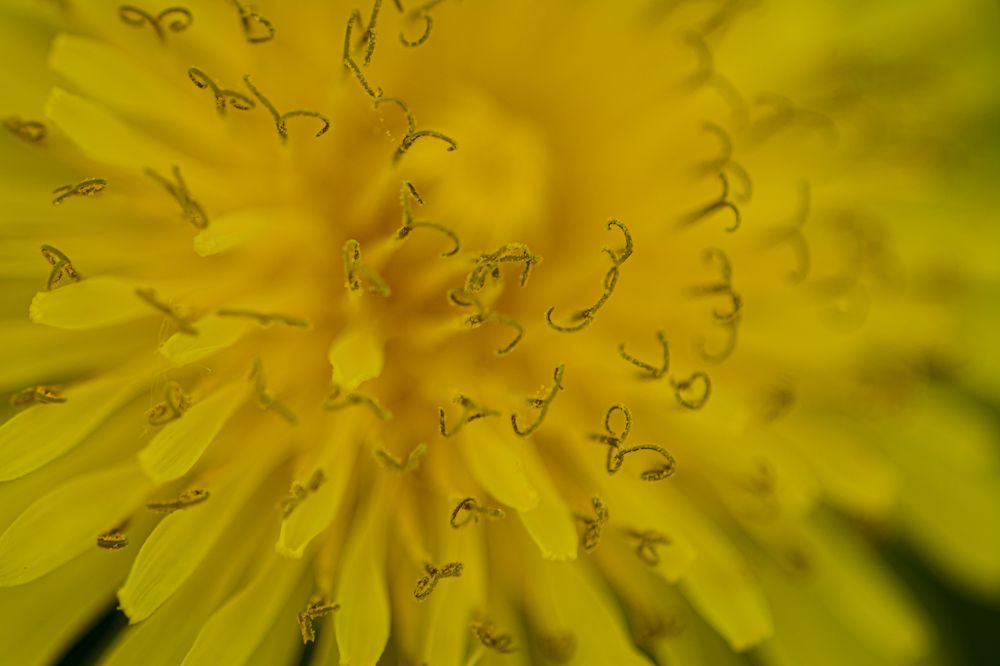 Photograph by Елена Берсенёва