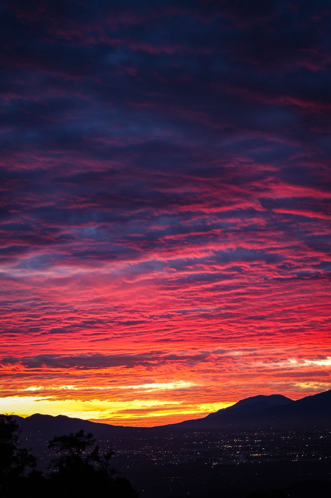 Photograph by Randall Sánchez