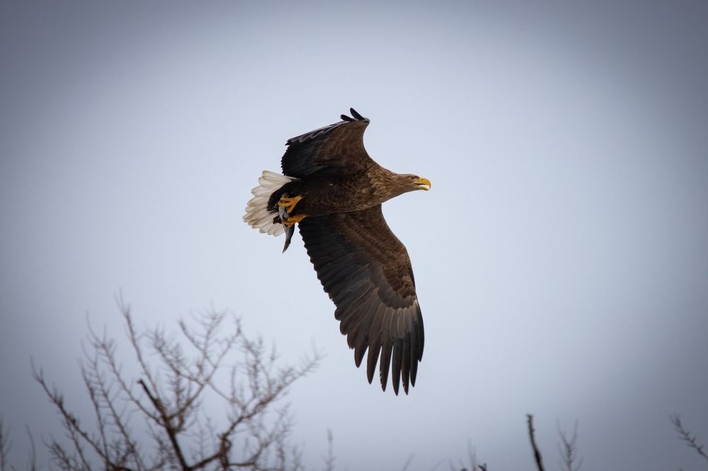 Photograph by Evgenia Loskutova