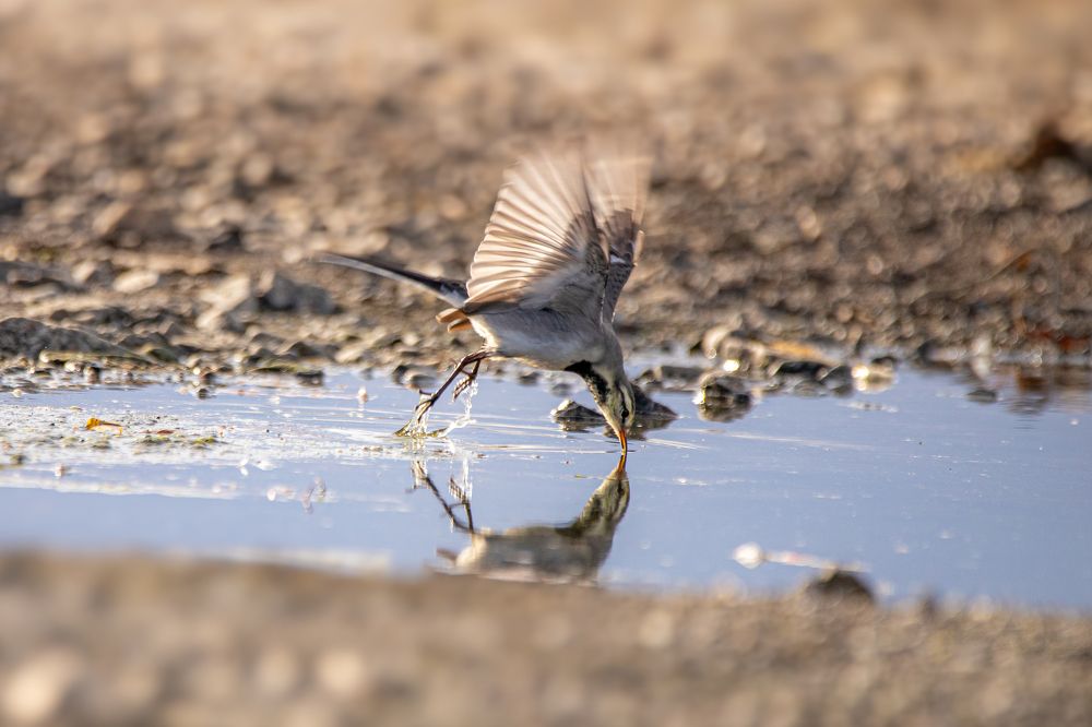 Photograph by Evgenia Loskutova