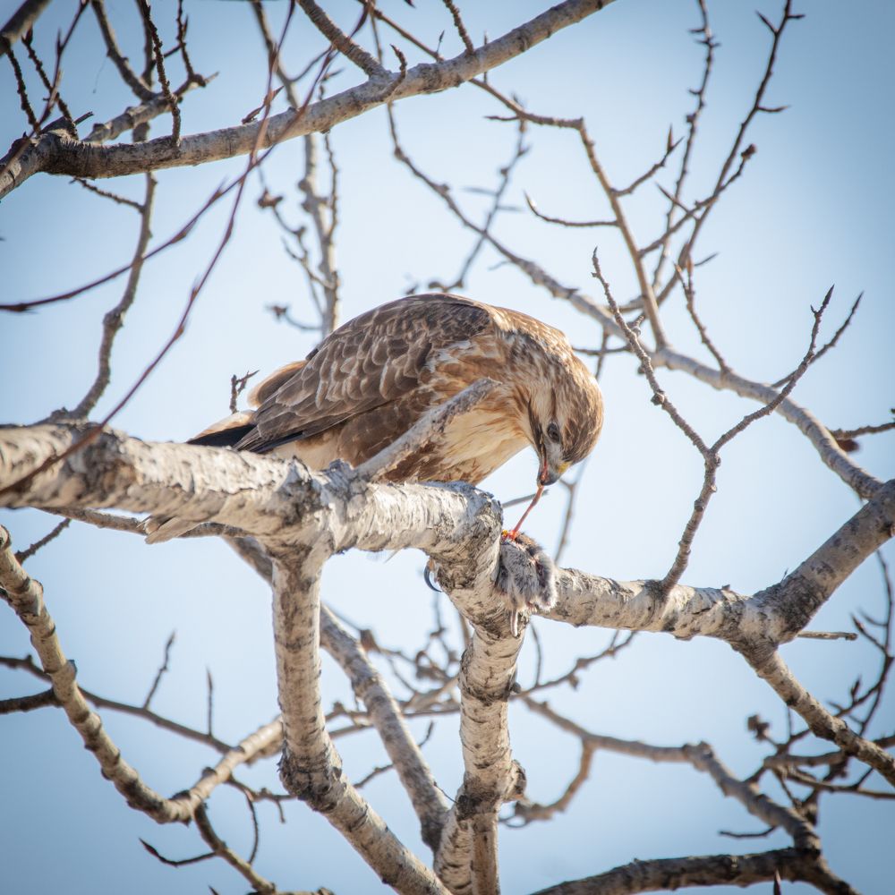 Photograph by Evgenia Loskutova
