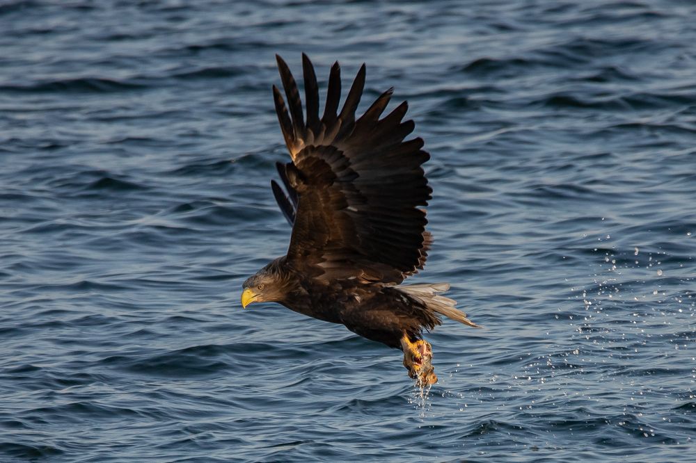 Photograph by Evgenia Loskutova