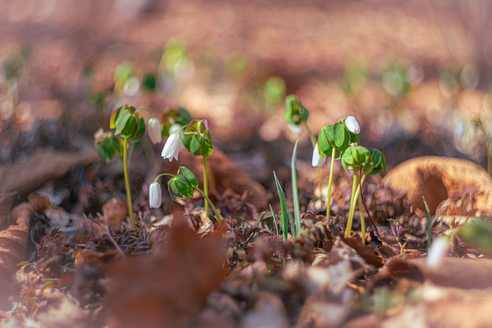 Photograph by Evgenia Loskutova