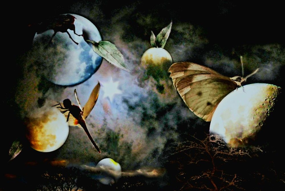 Фотография автора Hamid Reza Abadeh