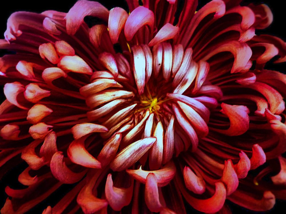 Photograph by Ирина Александрович