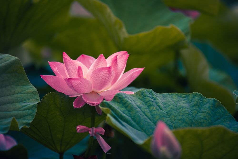 Photograph by Evgenia Loskutova