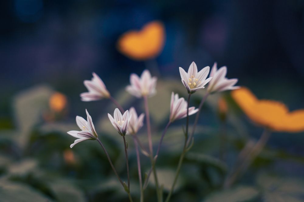 Photograph by Evgenia Loskutova