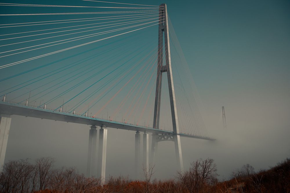 Photograph by Evgenia Loskutova