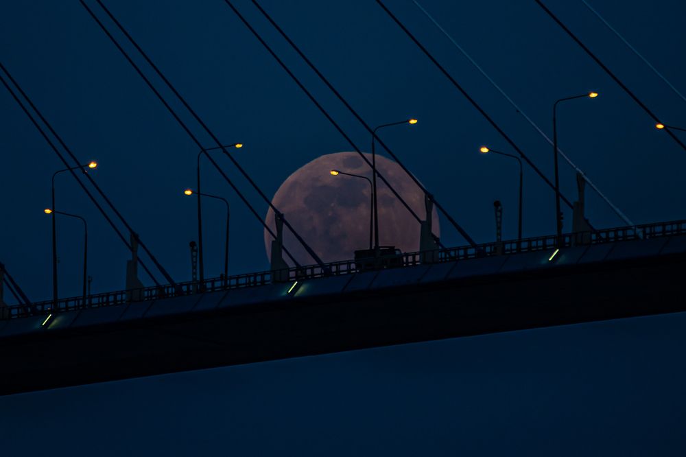 Photograph by Evgenia Loskutova