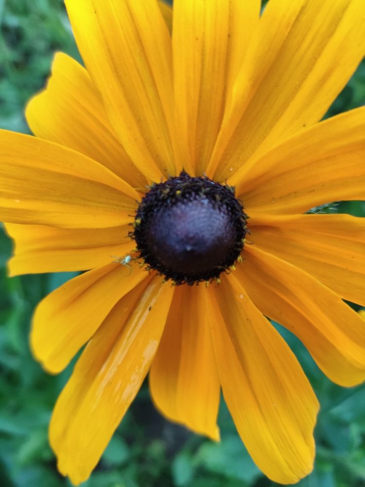 Photograph by Наталья