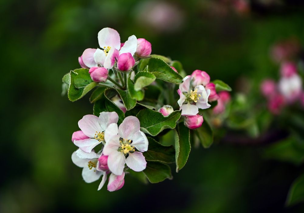 Photograph by Юлия Ковальчук