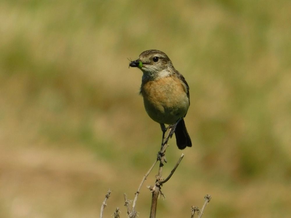 Photograph by Татьяна Колчанова