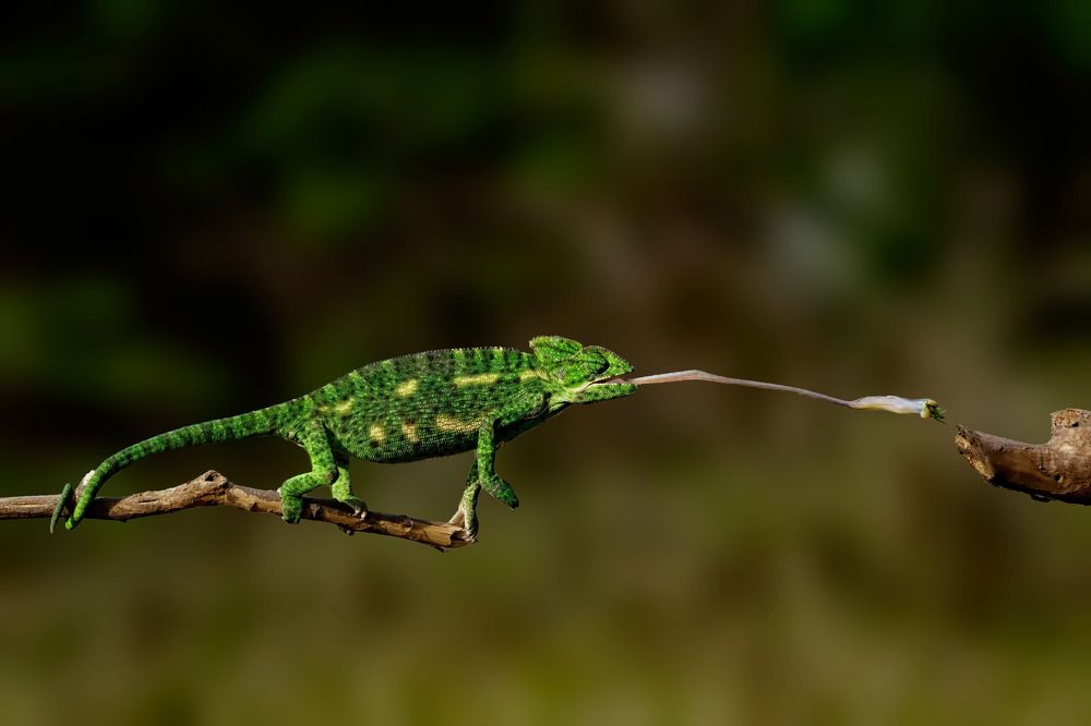 Photograph by Dhruv Shilpi